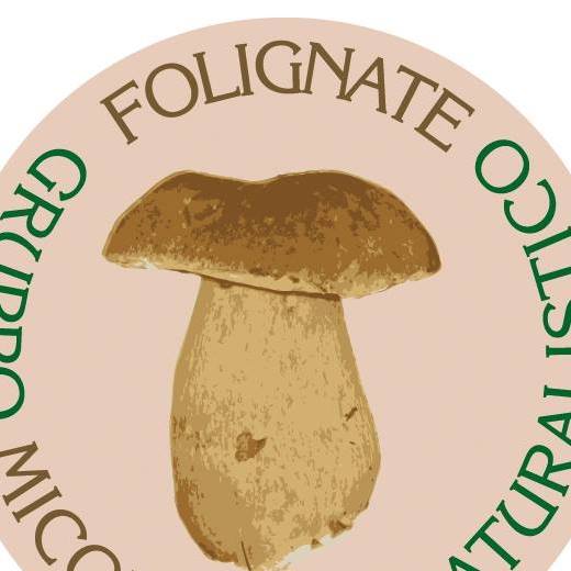 Associazione Micologica Folignate